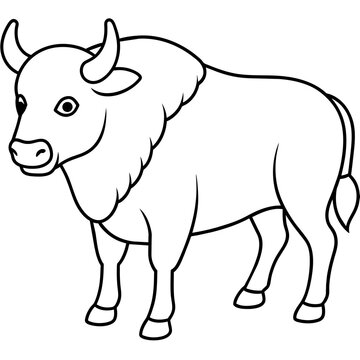 buffalo drawing using only lines, line art to color and paint. Children's drawings.