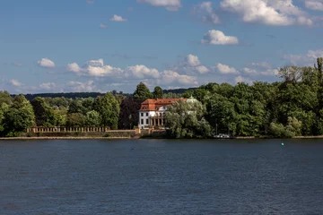 Foto op Plexiglas Königsklinger Aue-natürliche Binneninsel im Rhein bei Eltville zwischen Mainz und Bingen © barbara buderath