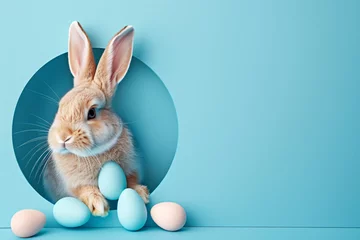 Foto op Canvas Adorable Easter bunny rabbit pet peeping out from the hole with Easter egg on blue background © Sunday Cat Studio