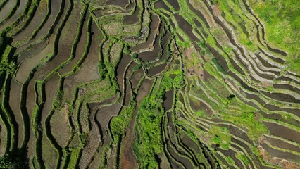 Papier Peint photo Rizières Batad Rice Terraces in Philippines