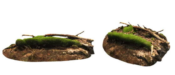 mossy embankment, mossy embankment in isolate, mossy embankment white background, png image