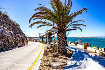 Coastal landscape with Federal Highway 11, Los Delfines viewpoint on promenade, palm trees against blue sky and sea in background, rocky hillside, sunny day in La Paz, Baja California Sur Mexico - obrazy, fototapety, plakaty