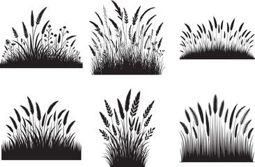Grass silhouette vector illustration set