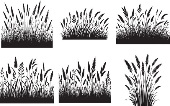 Grass silhouette vector illustration set