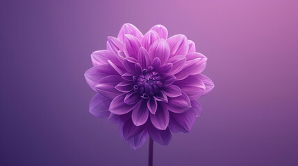 A close-up view of a vibrant purple flower standing out against a lush purple background, creating...