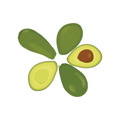 Vector illustration set of avocado fruit icon. Cartoon avocado. Ripe avocado fruits, healthy nutritious natural food and avocado slices flat set. Green avocado, tropical healthy food exotic