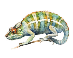 Chameleon single object watercolor illustration isolated on white background for removing backgroundIsolate