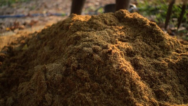 The farmer mixing and preparing soil with rake for planting, a man mixing of cow manure for cultivation, a gardener working on soil preparation on agriculture concept.