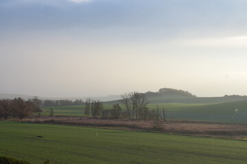 Fototapeta na wymiar light fog on winter green farmland