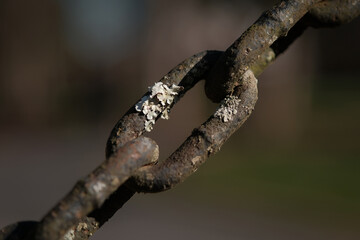 Weathered chain link with corrosion and rust close up