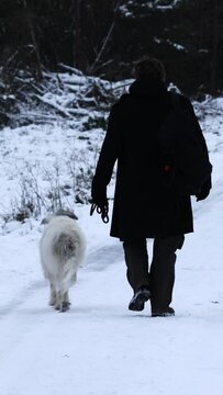 A Man With His Dog Strolling In Winter Snow Landscape In Sauerland