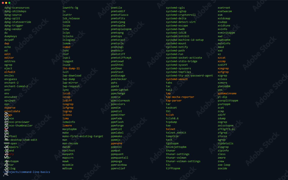 Aufkleber CLI interface of Unix System. CMD Command Line Terminal. Example of Linux ls Command Showing Bin Directory. Vector Illustration. Computer Prompt for Power Users. List of Files on Example FTP Server.