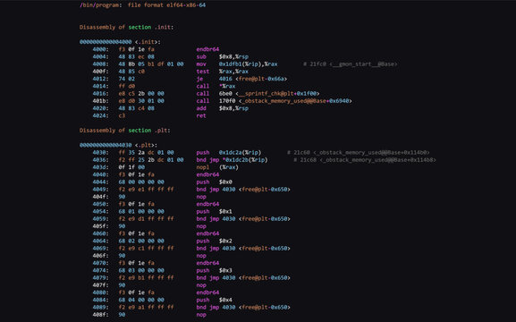 Assembly Code Programming Language. Machine Code Program Hexadecimal Code. Computer Memory. Vector Illustration. Hacking, Cryptography, Malware, Reverse Engineering, Data Analysis Backdrop.