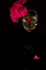 dark photo. red small flowers in a glass on a dark background.