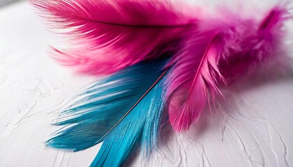beautiful abstract purple and blue feathers on white background and soft white pink feather texture on white pattern