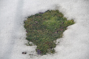 a patch of green lawn grass in the middle of the snow