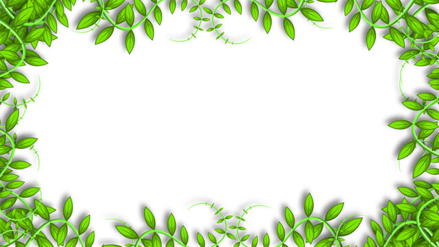 green leaves background with shadow on white background. rainforest, nature, tropical and environment decorative frame.