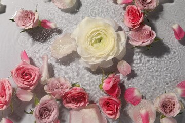 Beautiful roses and petals in water on white background, top view