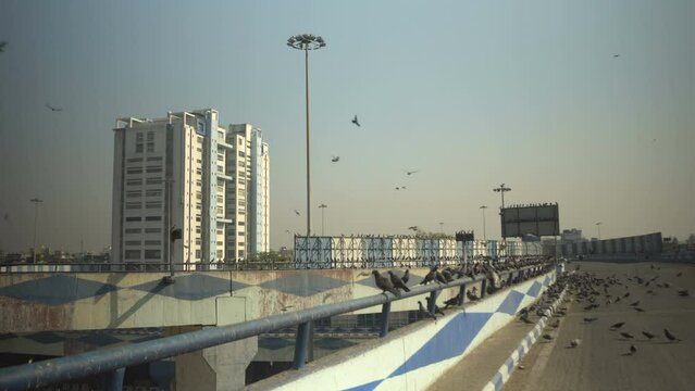 Howrah, West Bengal, India - 10th March 2024 : Nabanna, building, house of the State Secretariat of West Bengal. Office of the respected Chief Minister, Smt. Mamata Banerjee. Pigeons on empty flyover.