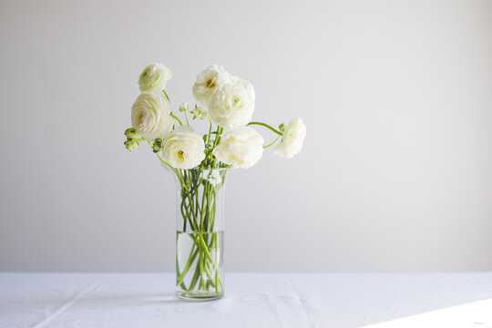 White Ranunculus on Minimal White Table