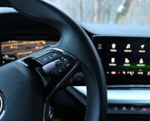 Speed Limiter Mode And Collision Avoidance System Buttons On A Steering Wheel With Blurred Monitor...