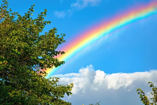 Vibrant Rainbow Stretching Across The Sky