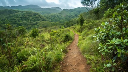 Fototapeta na wymiar Hiking trail leading through a lush green landscape