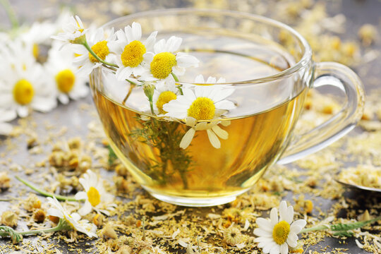 Chamomile herbal tea in a glass cup with flowers on white textile background, closeup, winter cold healing drink, natural medicine and naturopathy concept