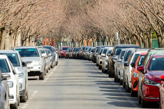 Tree lined street with cars parked on both sides, soft shallow focus