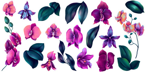 Set of watercolor vibrant orchid flowers and deep green leaves