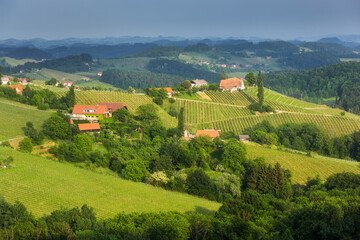 Weinberge nahe Sulztal, Südsteirische Weinstrasse, Steiermark, Österreich