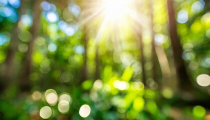 blurred out jungle forest abstract background with lots of bokeh and a sunrays and room for text