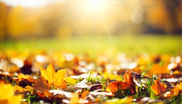 blurred autumn background abstract natural background with bokeh and sun flares