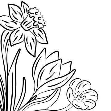 black flower outline bloom decorative background design