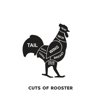 vector illustration guide Meat cuts set. rooster Butcher Poster diagrams and schematics.