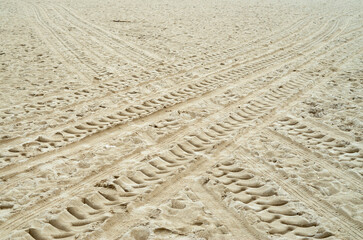 Crossed vehicle tire tracks in wet sand
