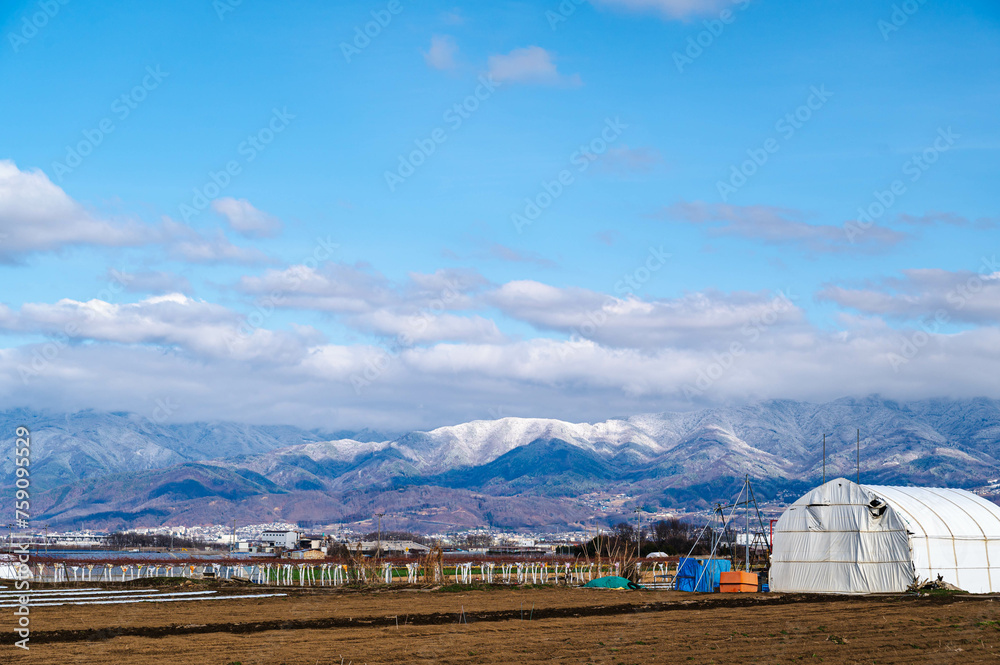 Poster 雪山と田園風景　松本市