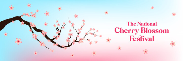 National Cherry Blossoms Festival website banner. Landscape Banner. Cherry Blossoms Vector Background. Cherry Blossoms Festival Artwork. Vector Artwork.
