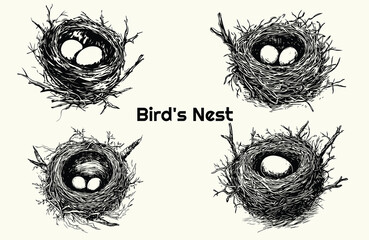 Fototapeta premium Set of bird's nest. Collection of nests with eggs. Wildlife. Vector illustration of birdhouse nest. Hand-drawn sketch vector.