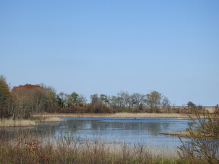 The scenic beauty of the Edwin B. Forsythe National Wildlife Refuge, during the spring season, Galloway, New Jersey.