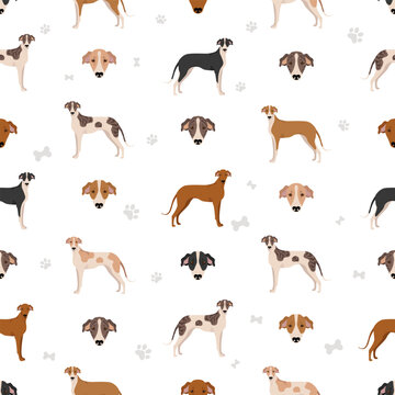 Hungarian greyhound seamless pattern. Different poses, coat colors set