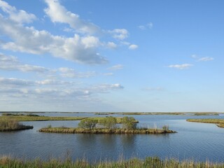 The scenic beauty of the Edwin B. Forsythe National Wildlife Refuge during the spring season.
