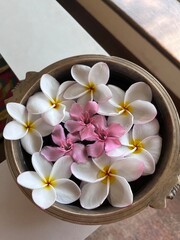 Fototapeta na wymiar flowers at the spa