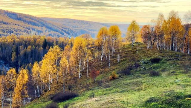 Autumn landscape against a cloudy sky near the scenery for the film The Heart of Parma. The Urals are golden in autumn. Autumn forest in the rays of the sun at sunset. 4К