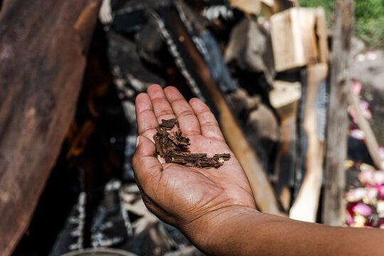 Shaman's Hand
