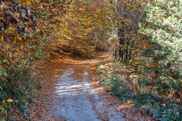 Autumn of sanctuary Belintash at Rhodope Mountains, Bulgaria