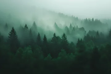Papier peint photo  Deserted forest tops in the fog. Nature landscape  © nutalina