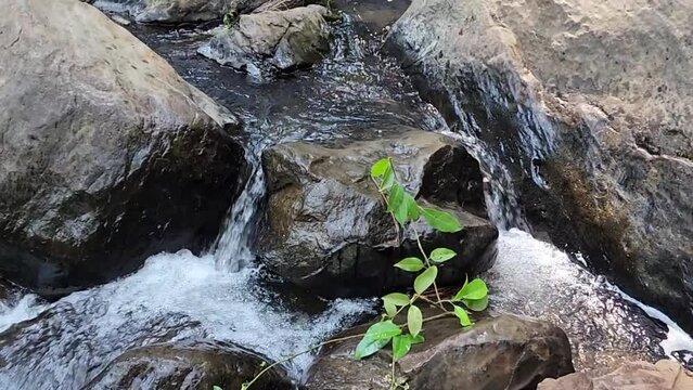 Waterfall video to use as an environmental background or nature compositions