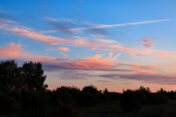 Pink sunset in summer, grass, nature, no one, clouds, landscape.