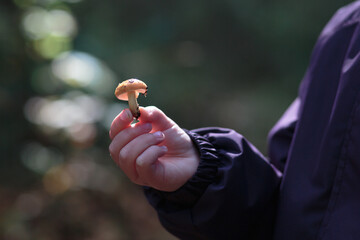 Child's hand holds a small grip in his hand, close-up, growing mushrooms, products, food, mushrooms.